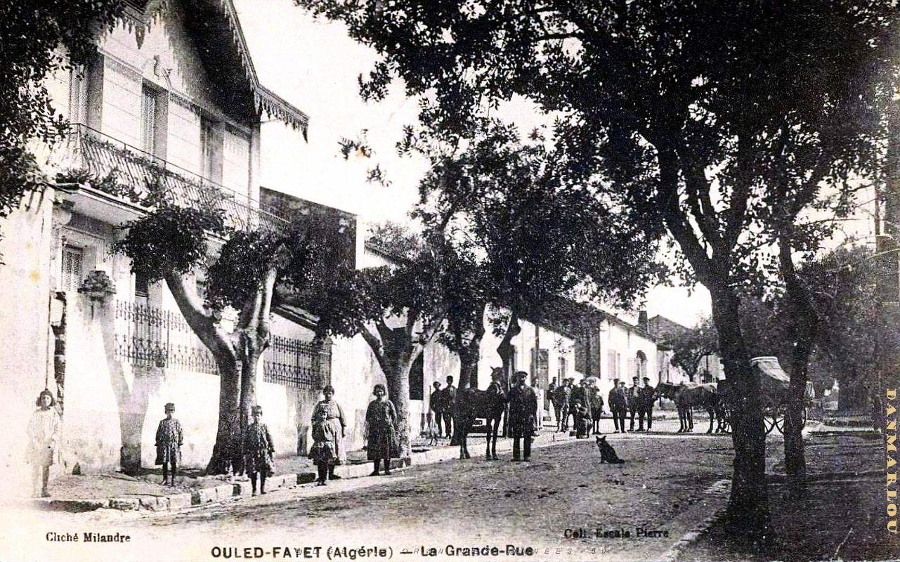 2933- Ouled-Fayet - Grande Rue .jpg